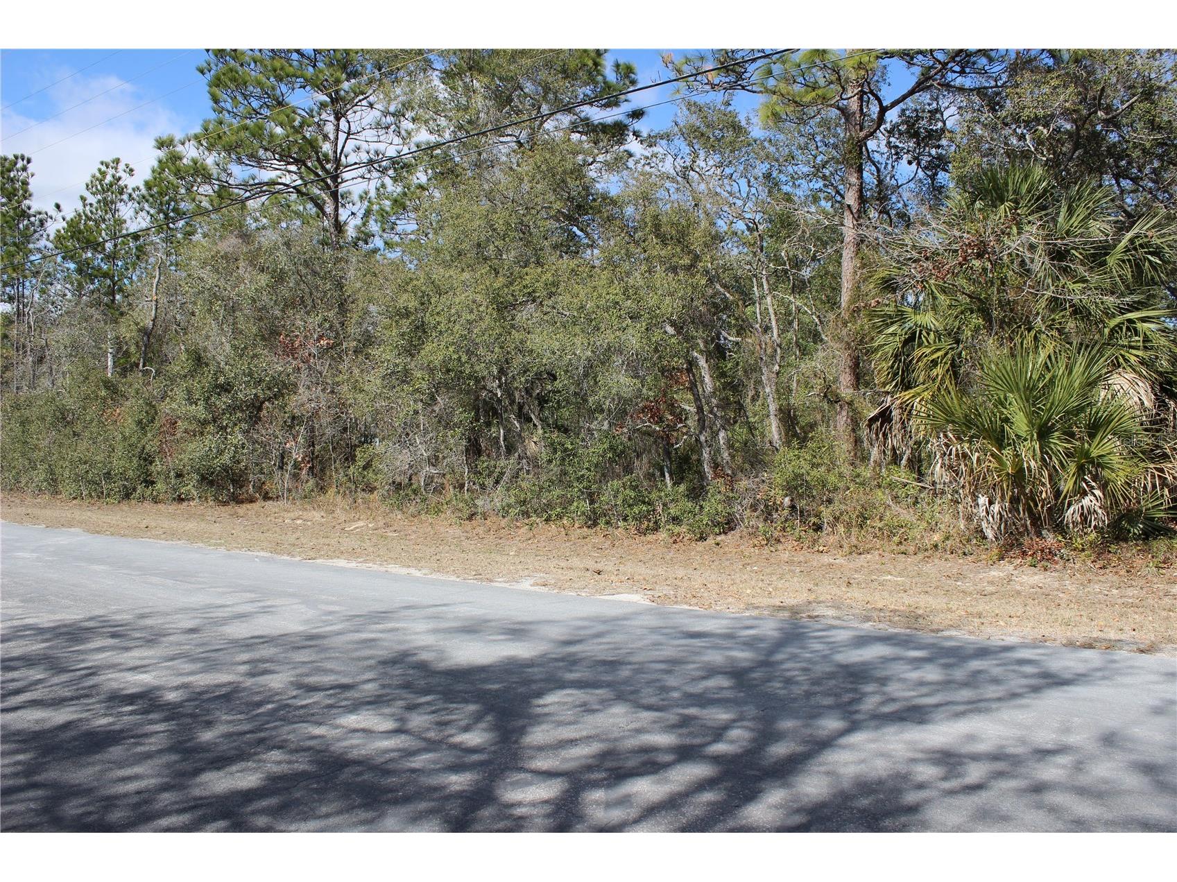 0 Quigley Avenue Weeki Wachee FL 34614 W7883002 image3