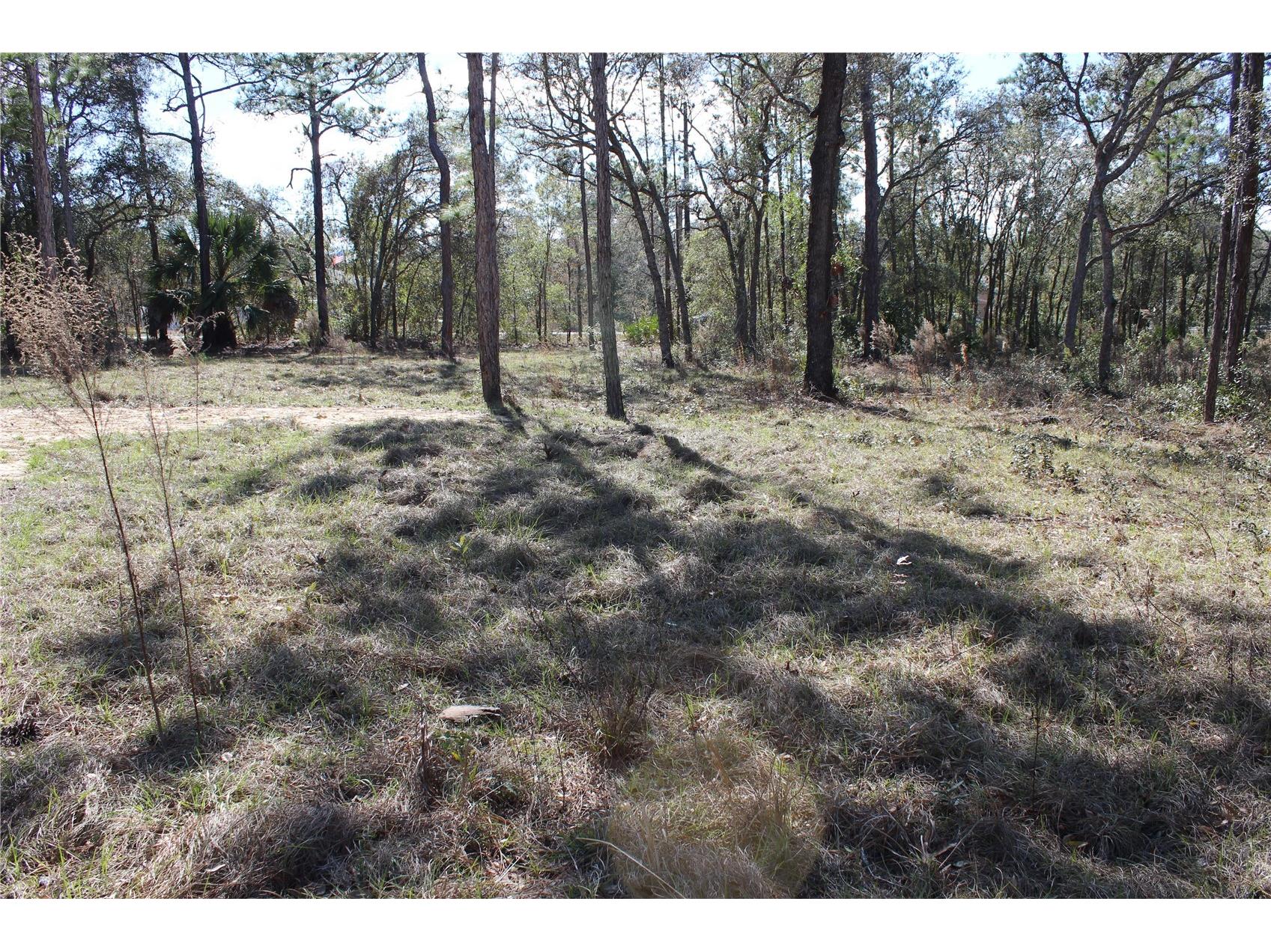 0 Quigley Avenue Weeki Wachee FL 34614 W7883002 image4