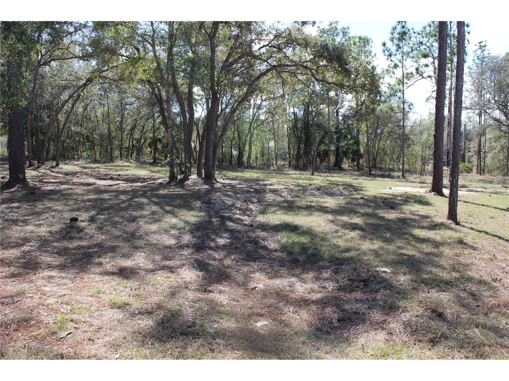 0 Quigley Avenue Weeki Wachee FL 34614 W7883002 image5