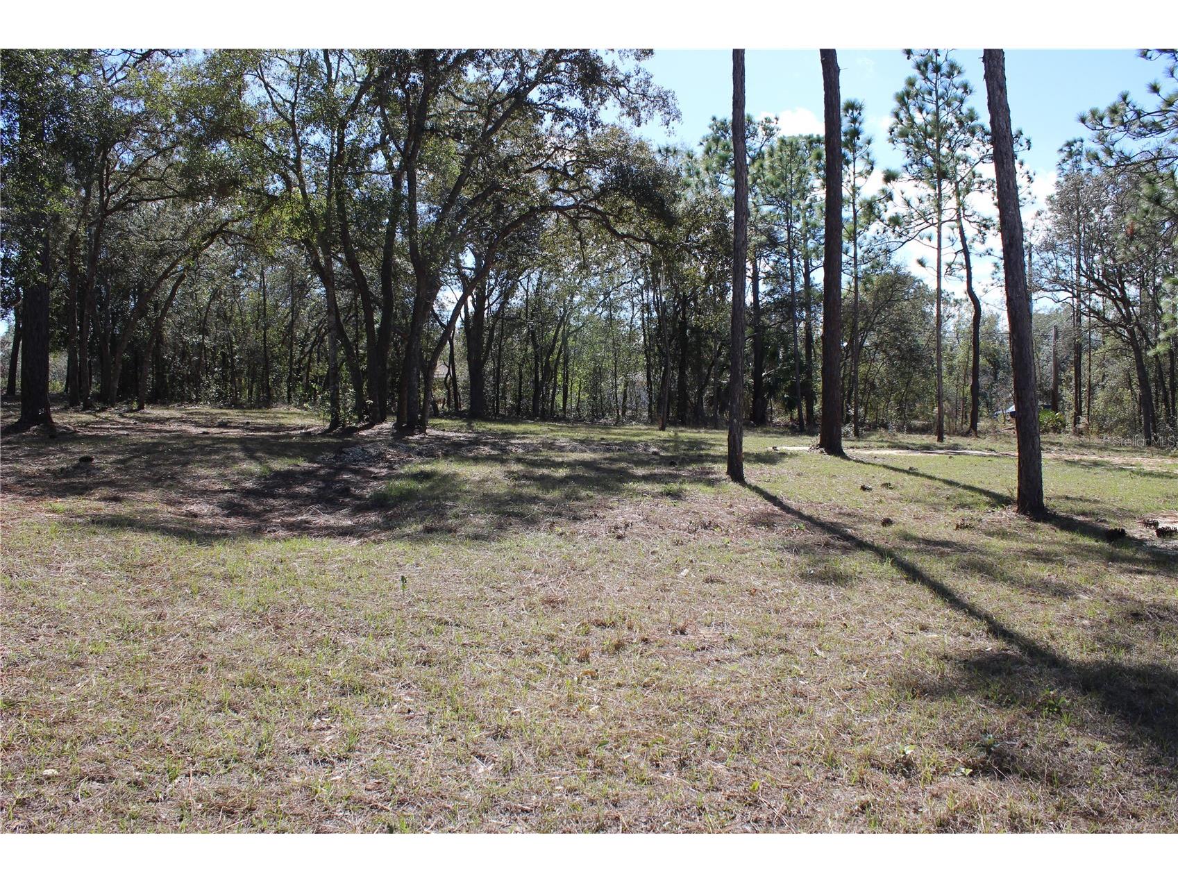 0 Quigley Avenue Weeki Wachee FL 34614 W7883002 image6