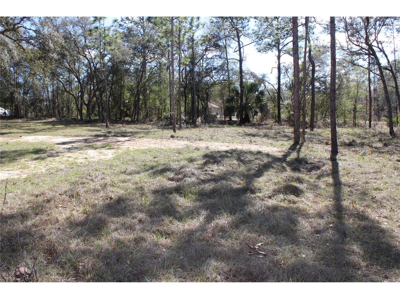 0 Quigley Avenue Weeki Wachee FL 34614 W7883002 image7