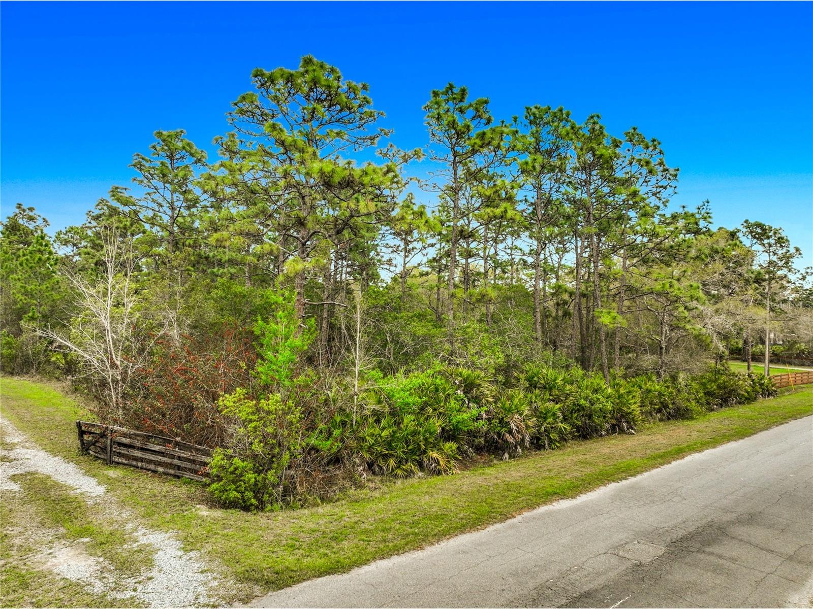 0 Quinlan Street Orlando FL 32833 O6392033 image8