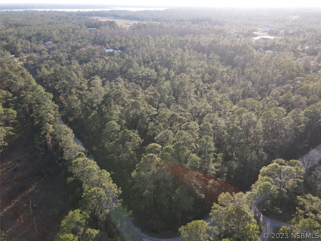 0 Quail Nest Lane New Smyrna Beach FL 32168 NS1072294 image1