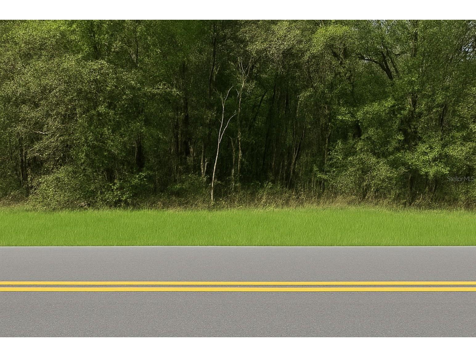 0 Rainbow Lakes Boulevard Dunnellon FL 34431 OM721800 image1
