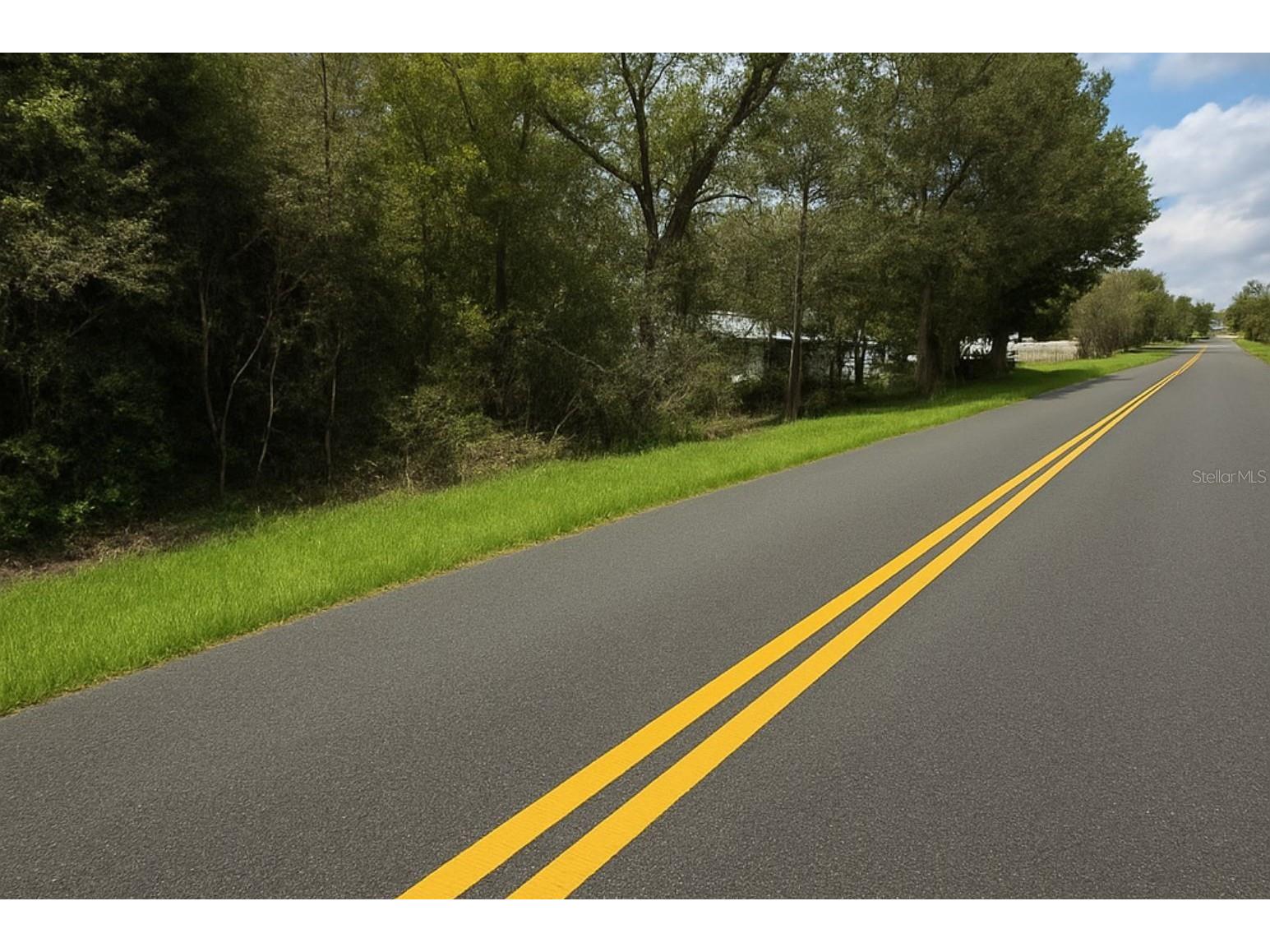 0 Rainbow Lakes Boulevard Dunnellon FL 34431 OM721800 image2