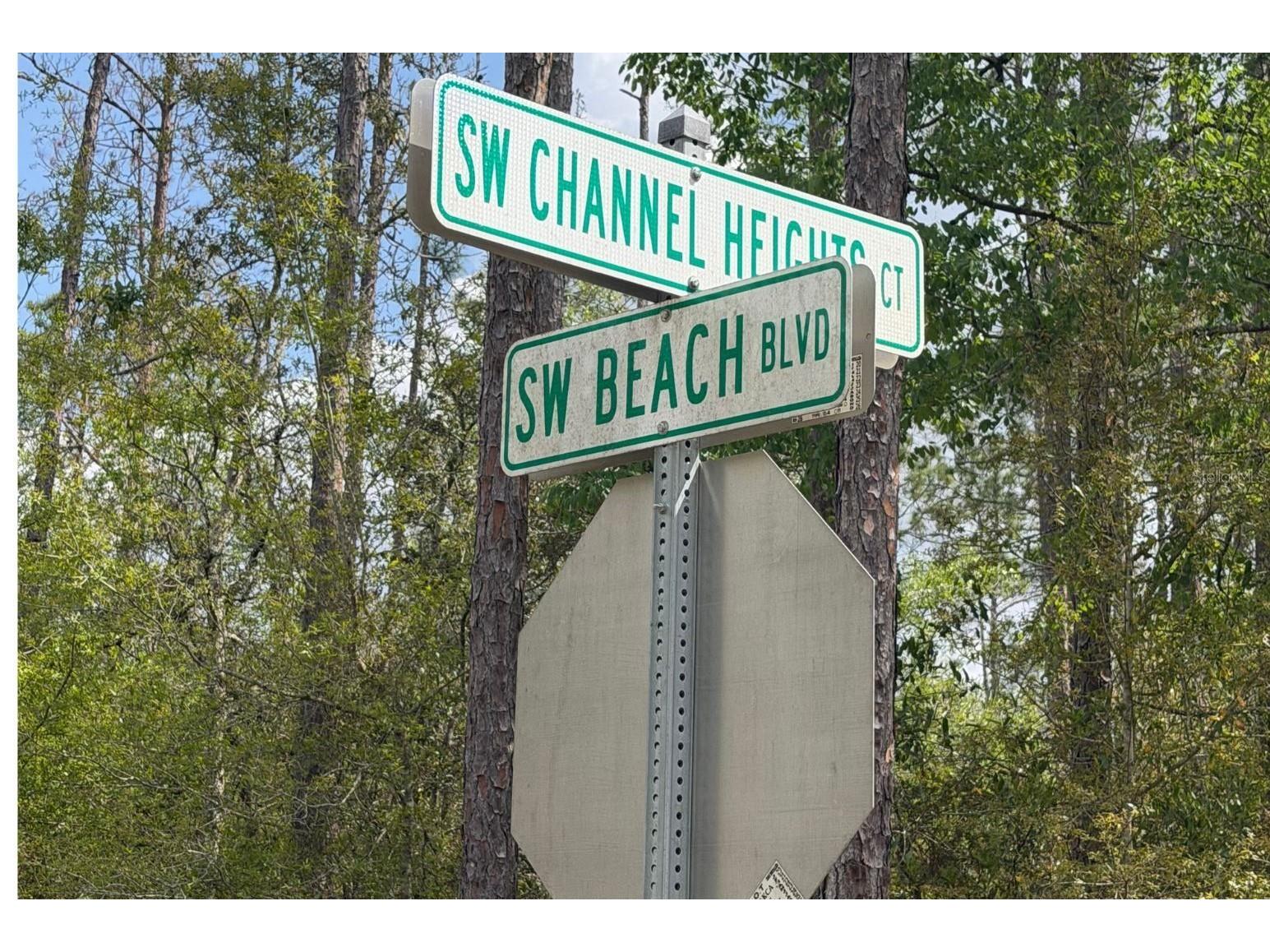 0 Rainbow Lakes Boulevard Dunnellon FL 34431 OM721800 image3