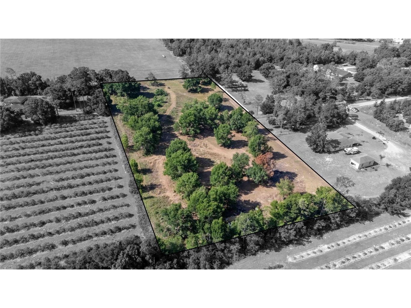 0 Raiser Road Dade City FL 33525 TB8382020 image1