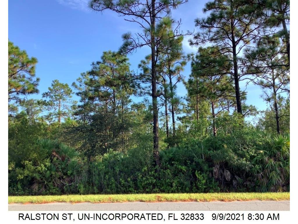0 Ralston Street Orlando FL 32833 O6139181 image1