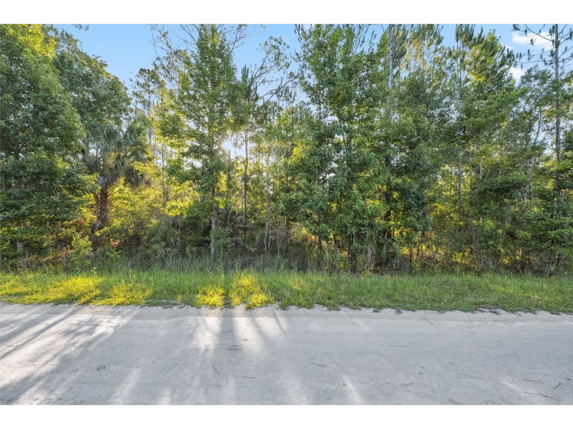 0 Ramsey Road Weeki Wachee FL 34614 W7871661 image2
