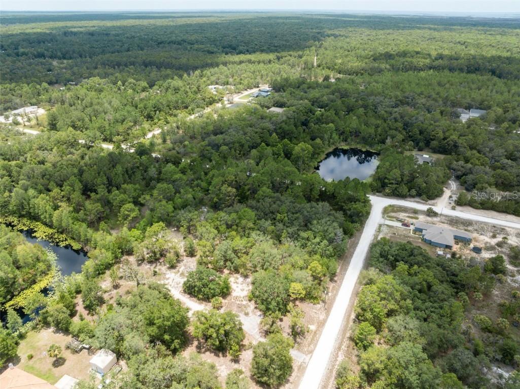 0 Ramsey Road Weeki Wachee FL 34614 W7871661 image23