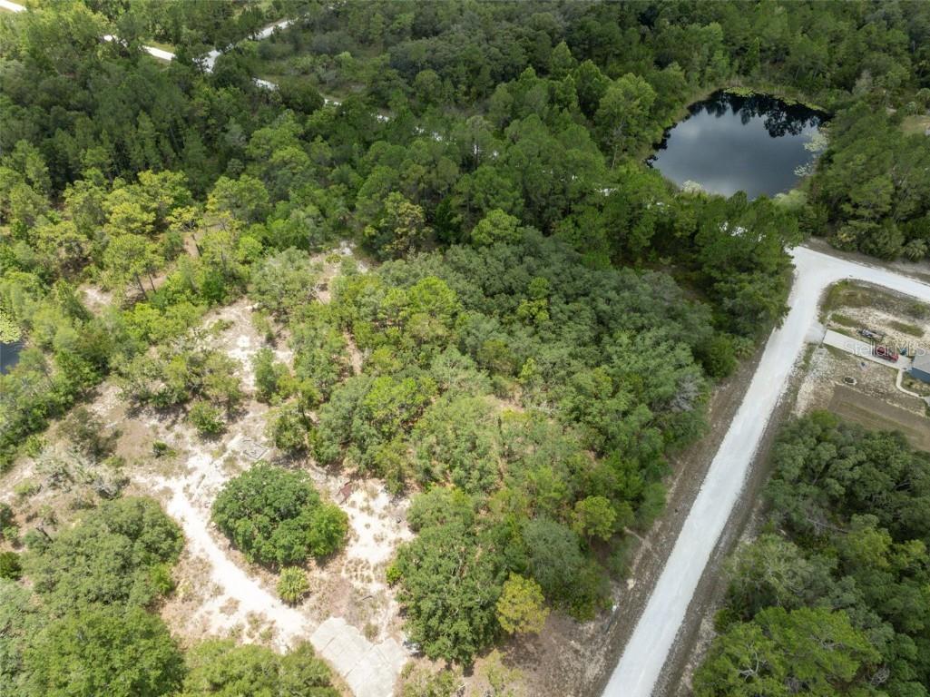0 Ramsey Road Weeki Wachee FL 34614 W7871661 image24