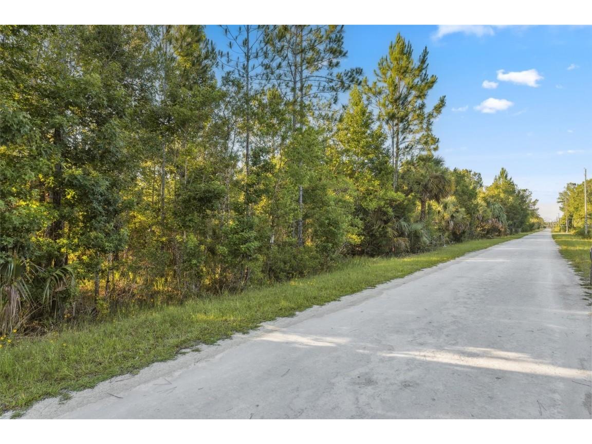 0 Ramsey Road Weeki Wachee FL 34614 W7871661 image4