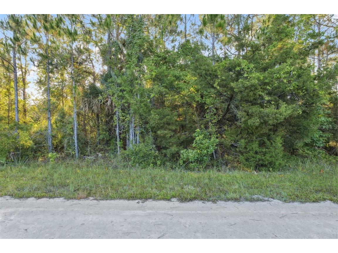 0 Ramsey Road Weeki Wachee FL 34614 W7871661 image5