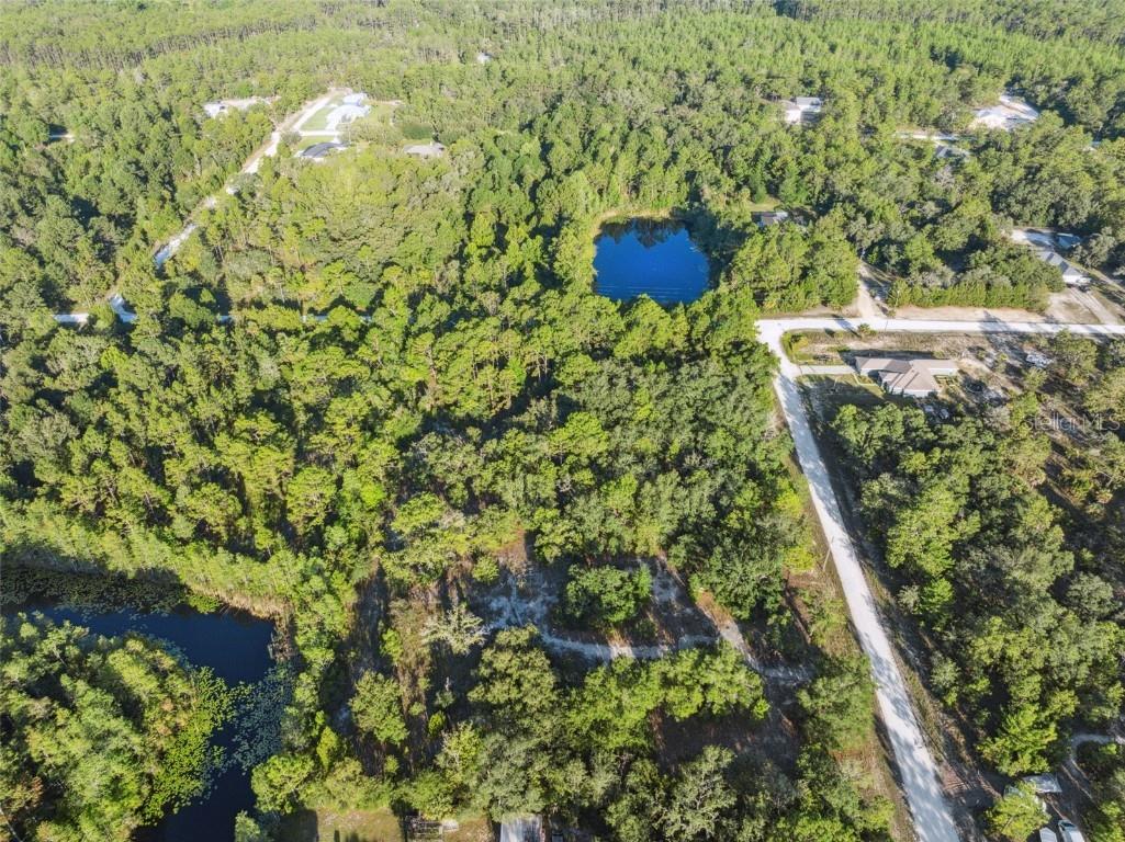 0 Ramsey Road Weeki Wachee FL 34614 W7871661 image8