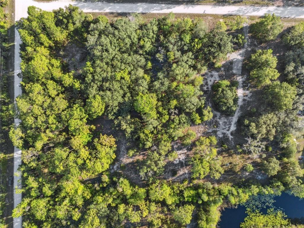 0 Ramsey Road Weeki Wachee FL 34614 W7871661 image9