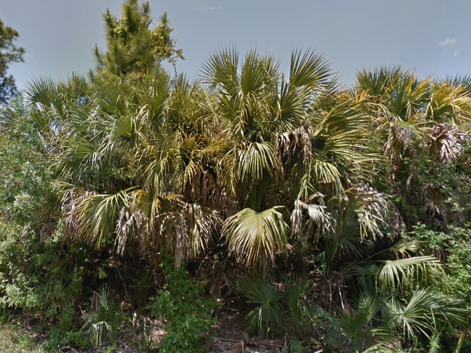 0 Raven Street North Port FL 34286 C7522286 image3