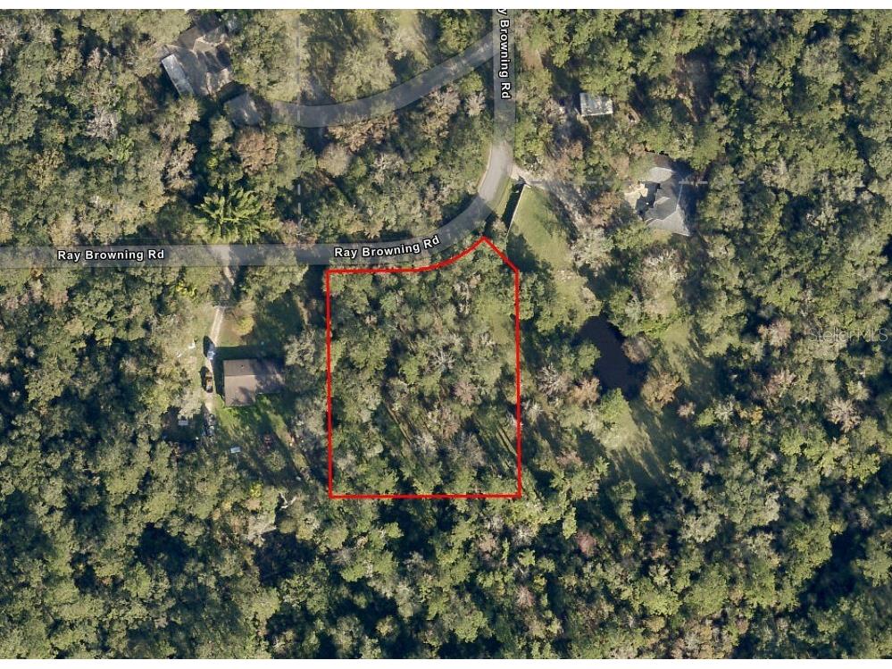 0 Ray Browning Road Brooksville FL 34601 W7879773 image1