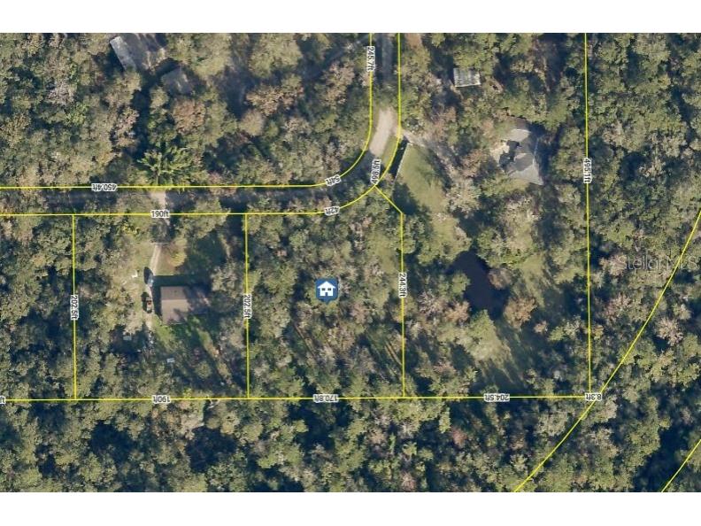 0 Ray Browning Road Brooksville FL 34601 W7879773 image4