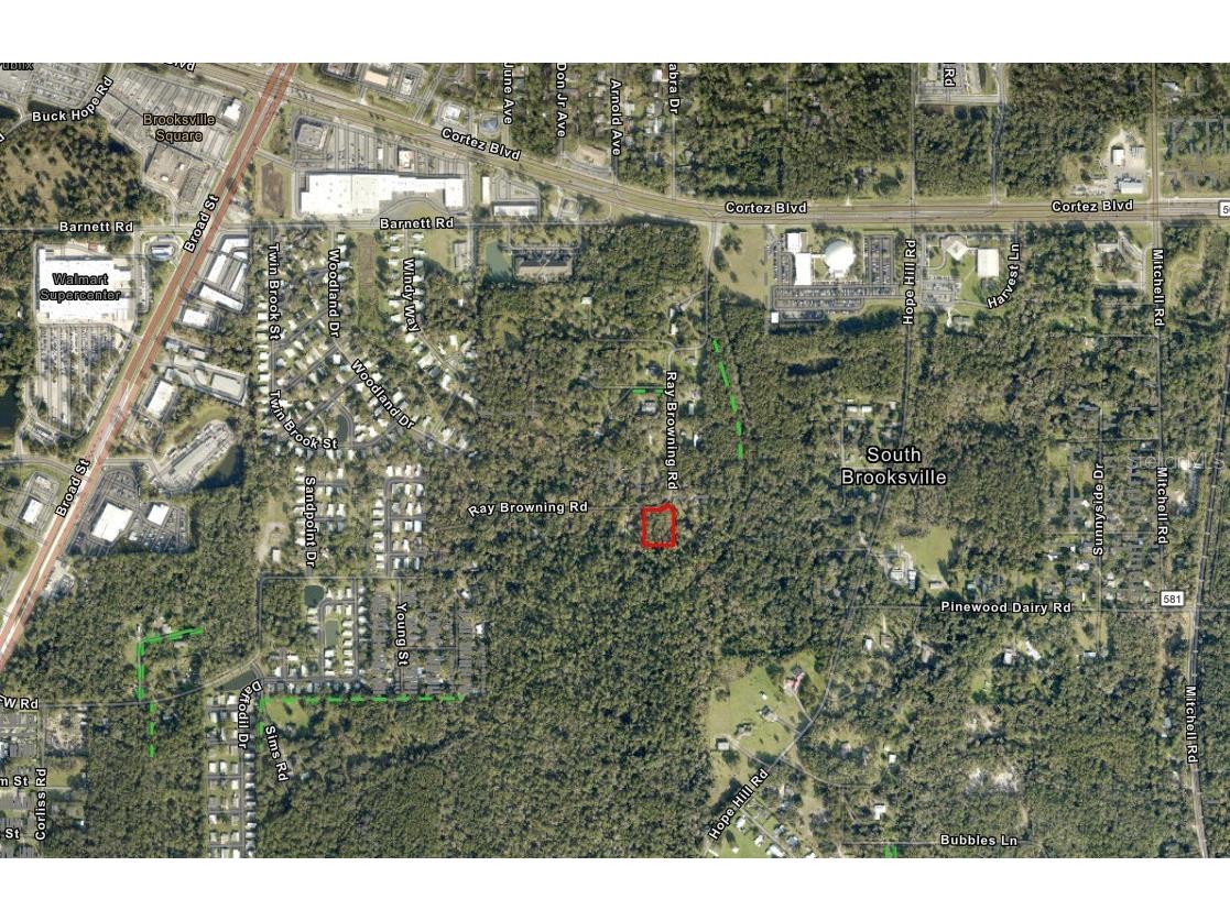 0 Ray Browning Road Brooksville FL 34601 W7879773 image6