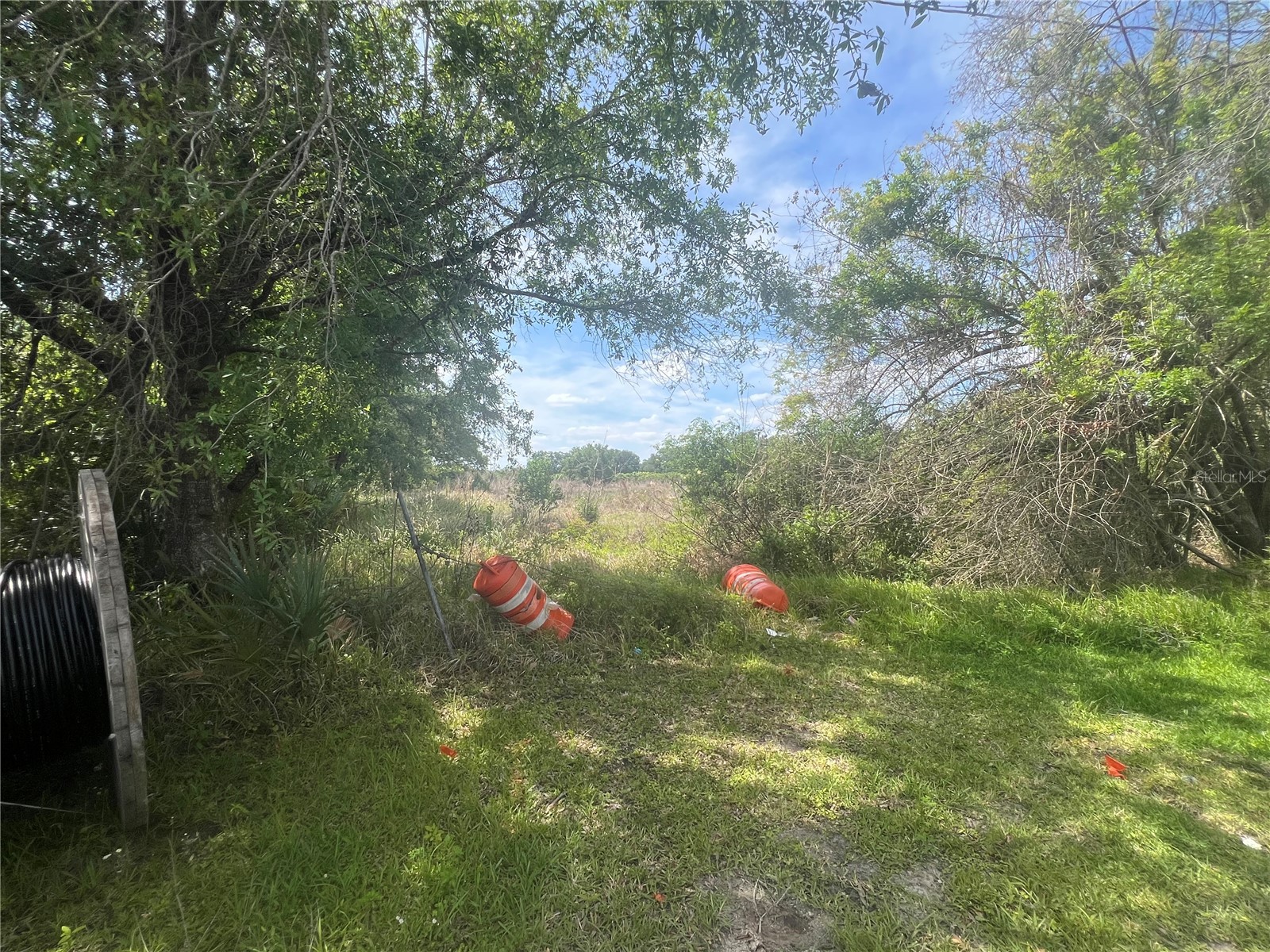 0 Ree Lane Kissimmee FL 34741 S5147469 image1