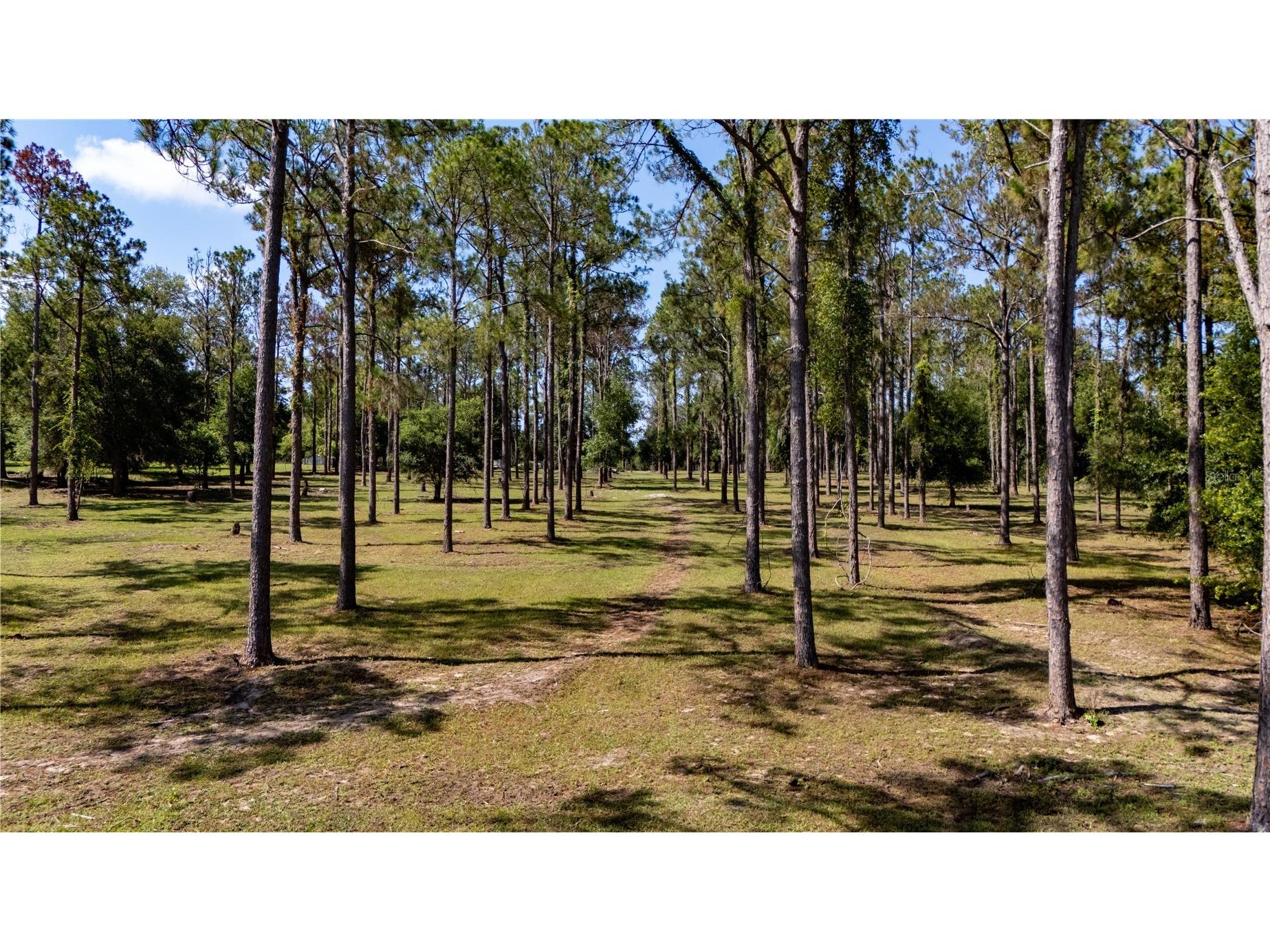 0 Reed Road Dade City FL 33523 TB8525400 image17