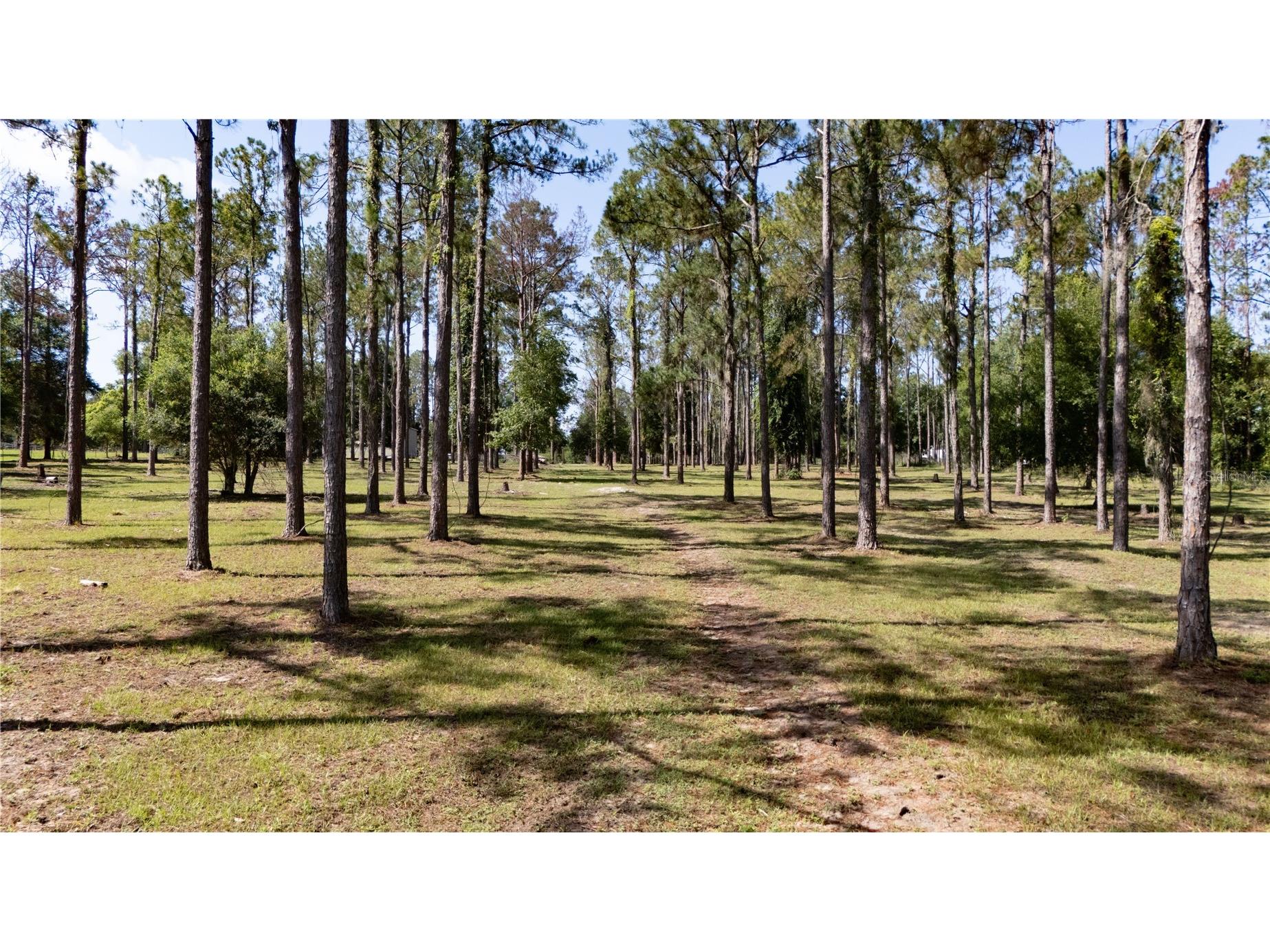 0 Reed Road Dade City FL 33523 TB8525400 image18