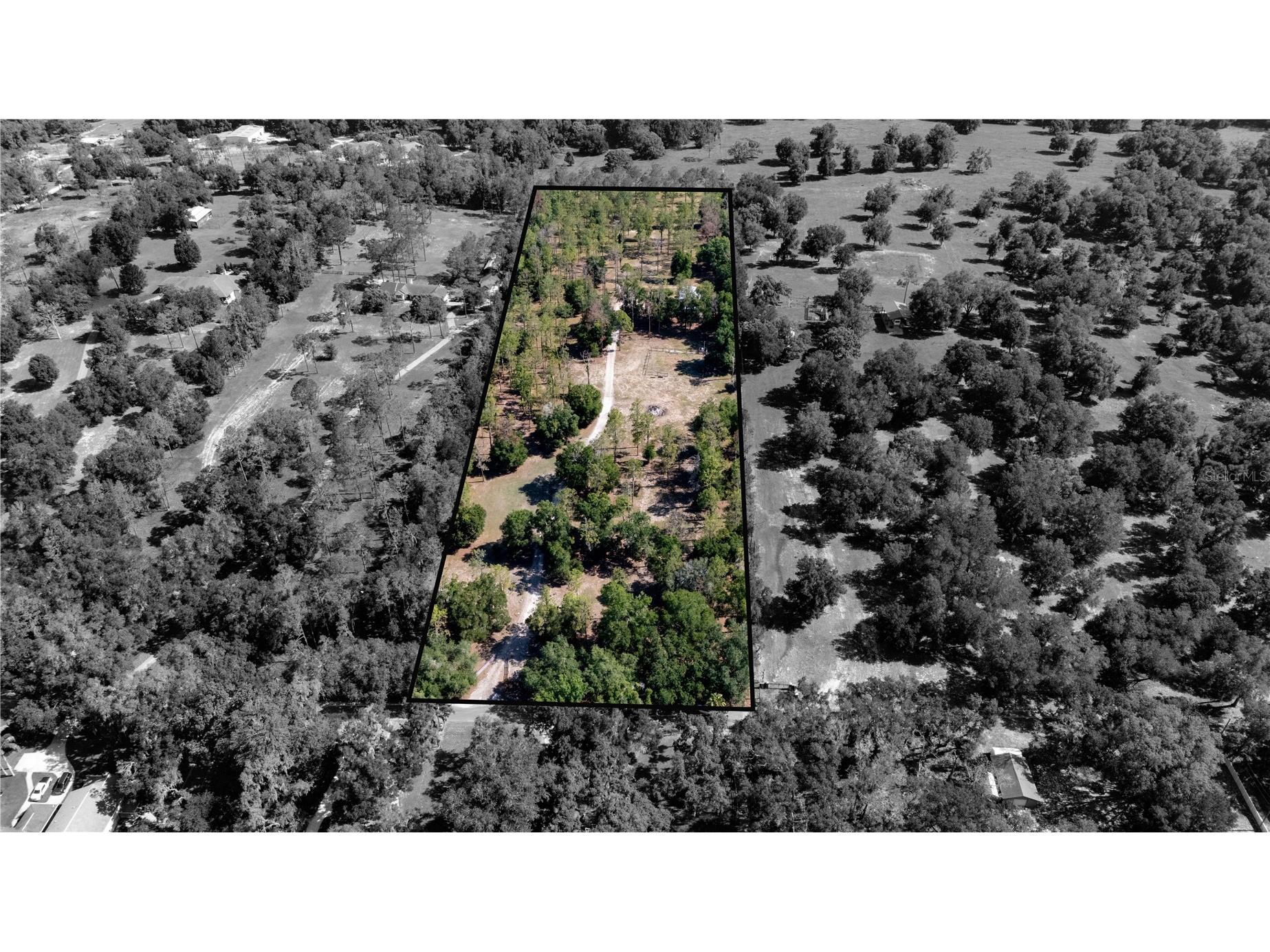 0 Reed Road Dade City FL 33523 TB8525400 image6