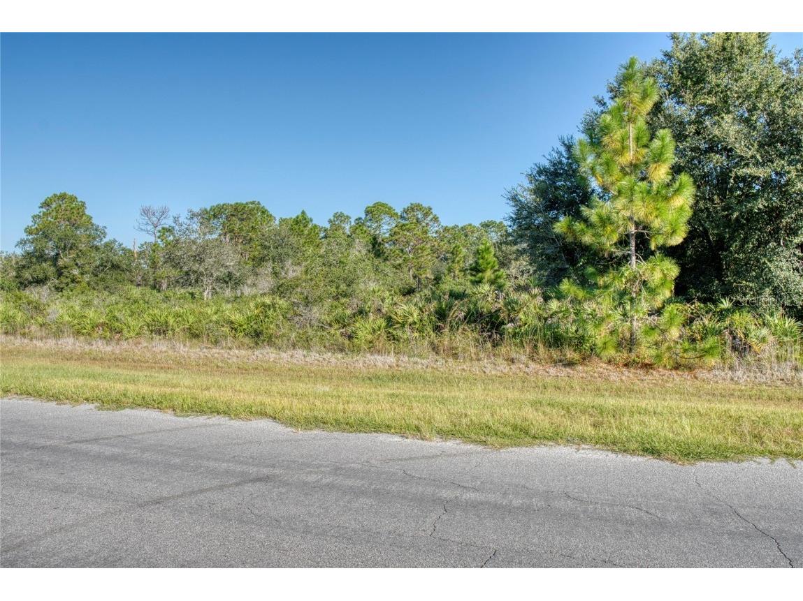 0 Reynolds Parkway Orlando FL 32833 S5136608 image1