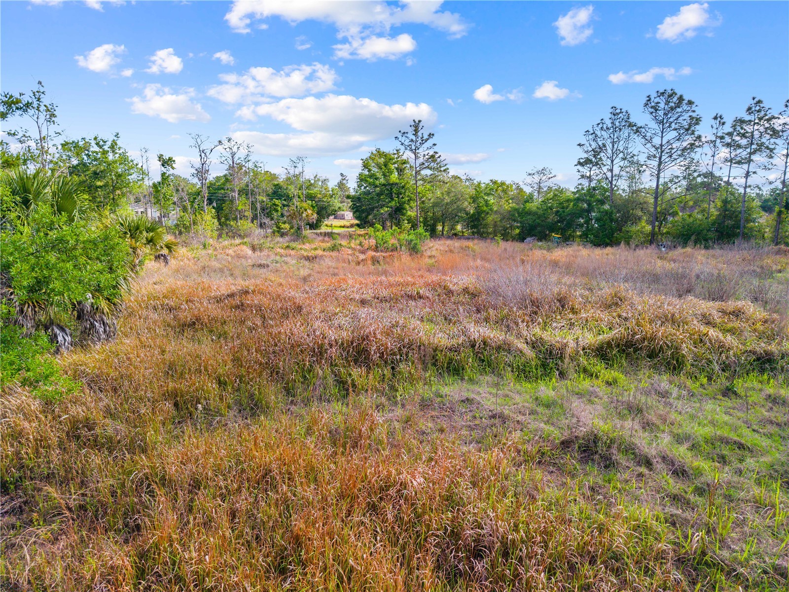 0 Richmond Avenue Saint Cloud FL 34772 S5147548 image3