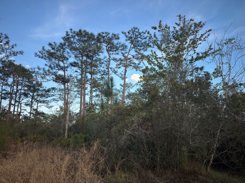 0 Richmond Road Saint Cloud FL 34773 S5144277 image1