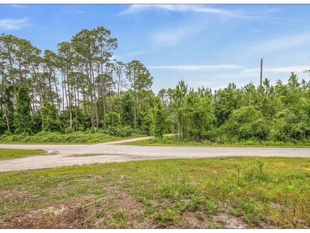 0 Ridgewood Drive Georgetown FL 32139 FC301106 image1