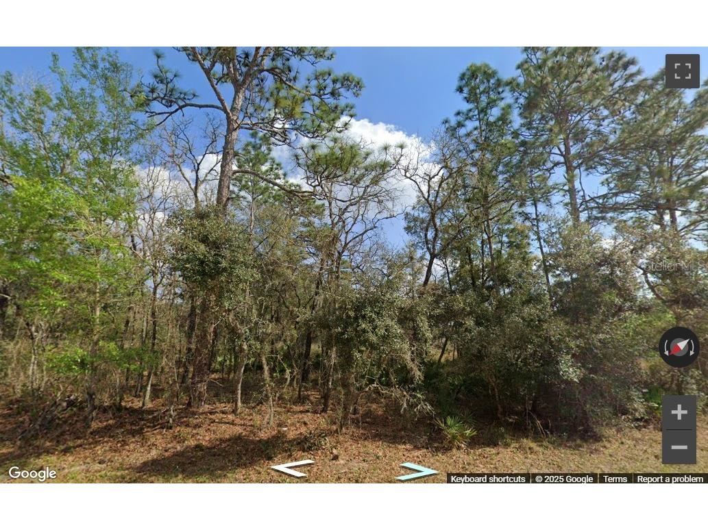 0 Rim Rock Webster FL 33597 TB8348822 image1