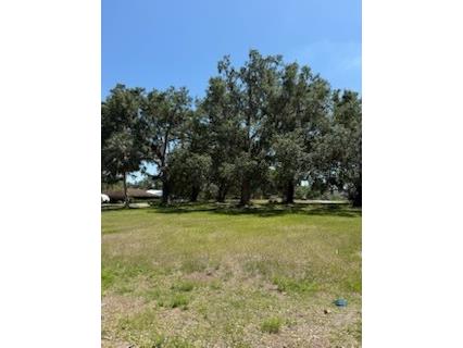 0 River Oak Drive Fort Meade FL 33841 L4952312 image3