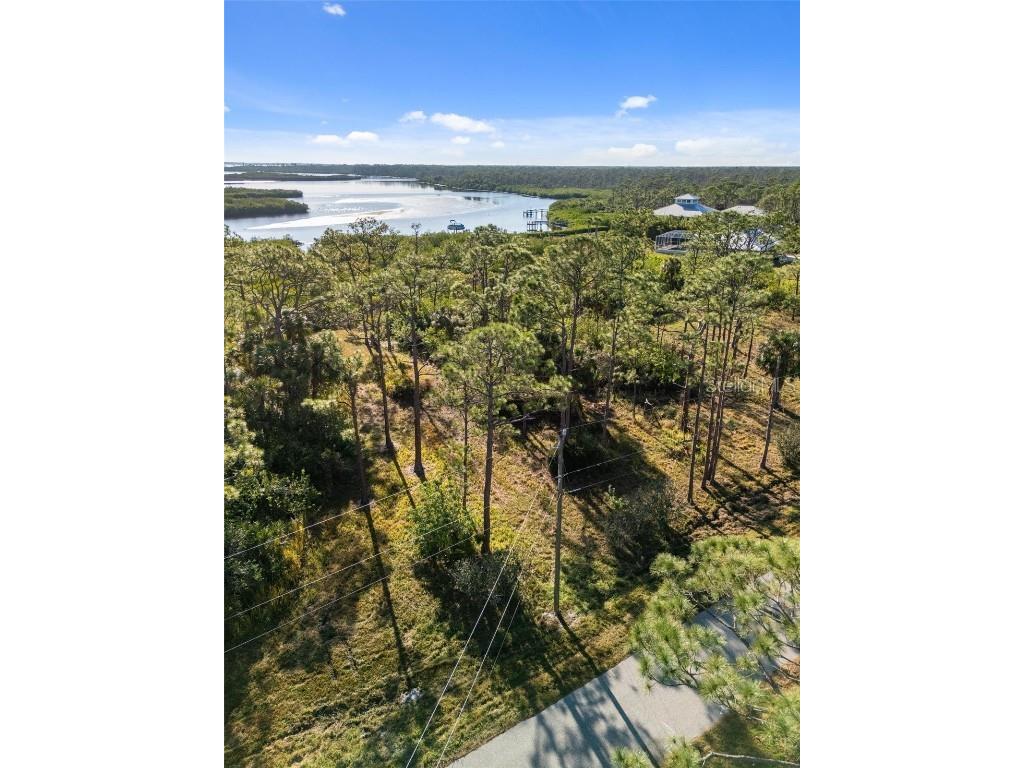 0 Riverfront Drive Venice FL 34293 - MYAKKA RIVER A4639948 image10