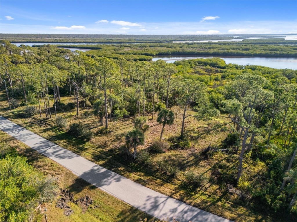 0 Riverfront Drive Venice FL 34293 - MYAKKA RIVER A4639948 image5