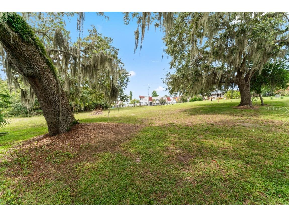 0 Riverhills Drive Temple Terrace FL 33617 - HILLSBOROUGH RIVER TB8426382 image3