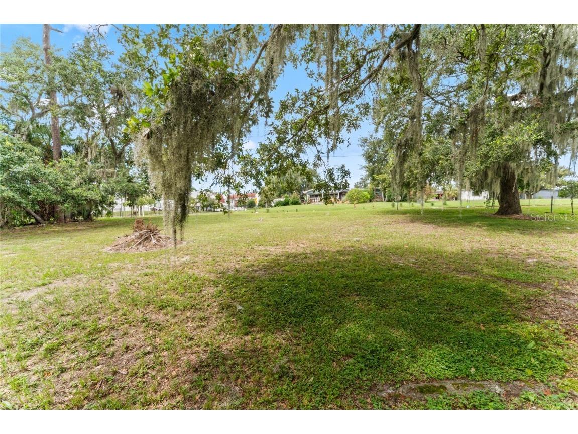 0 Riverhills Drive Temple Terrace FL 33617 - HILLSBOROUGH RIVER TB8426382 image5