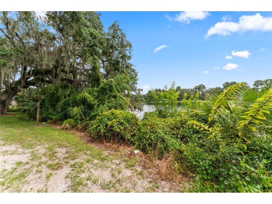 0 Riverhills Drive Temple Terrace FL 33617 - HILLSBOROUGH RIVER TB8426382 image9