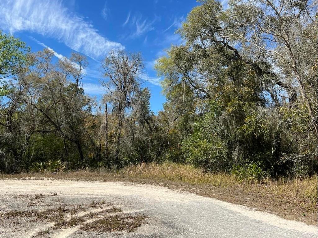 0 Riverstone Street #LOT 26 Webster FL 33597 TB8359394 image1