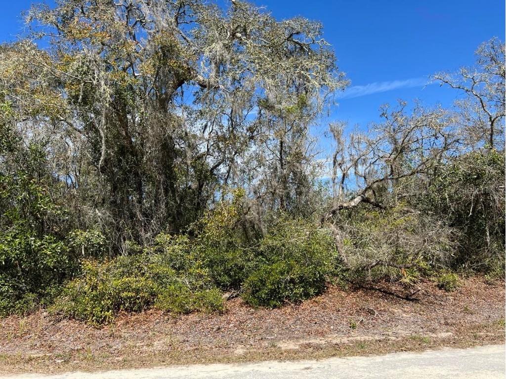 0 Riverstone Street #LOT 26 Webster FL 33597 TB8359394 image2
