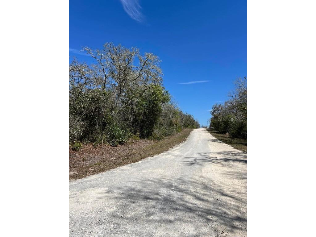 0 Riverstone Street #LOT 26 Webster FL 33597 TB8359394 image3