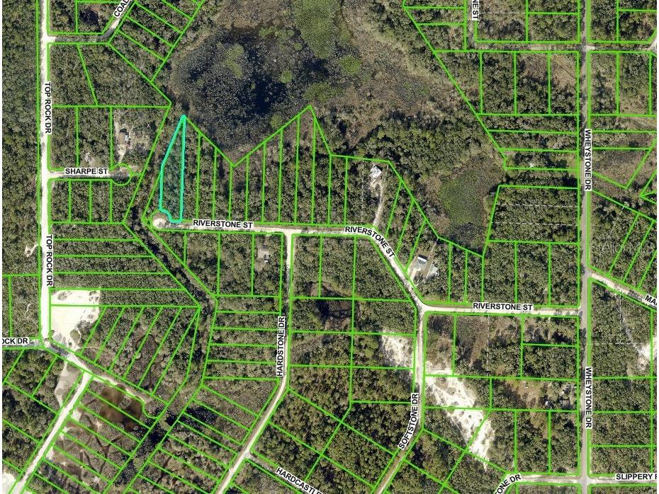 0 Riverstone Street #LOT 26 Webster FL 33597 TB8359394 image4