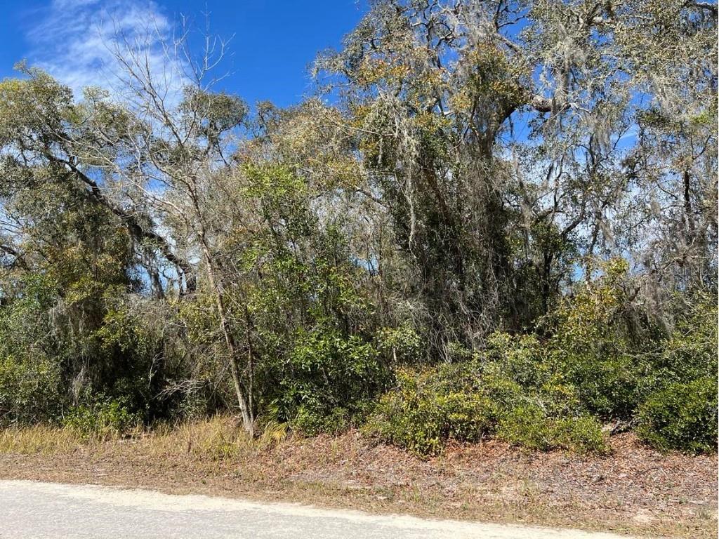 0 Riverstone Street #LOT 26 Webster FL 33597 TB8359394 image5