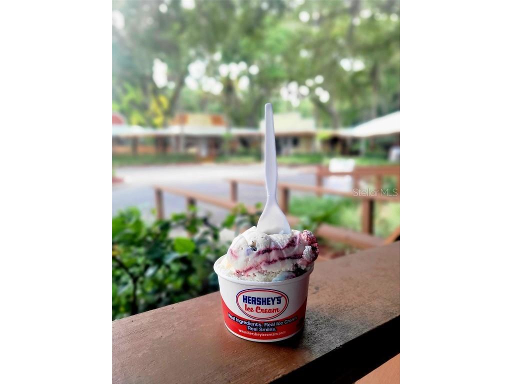 0 Riviera Drive #LOT 17 Lake Wales FL 33898 TB8358445 image24