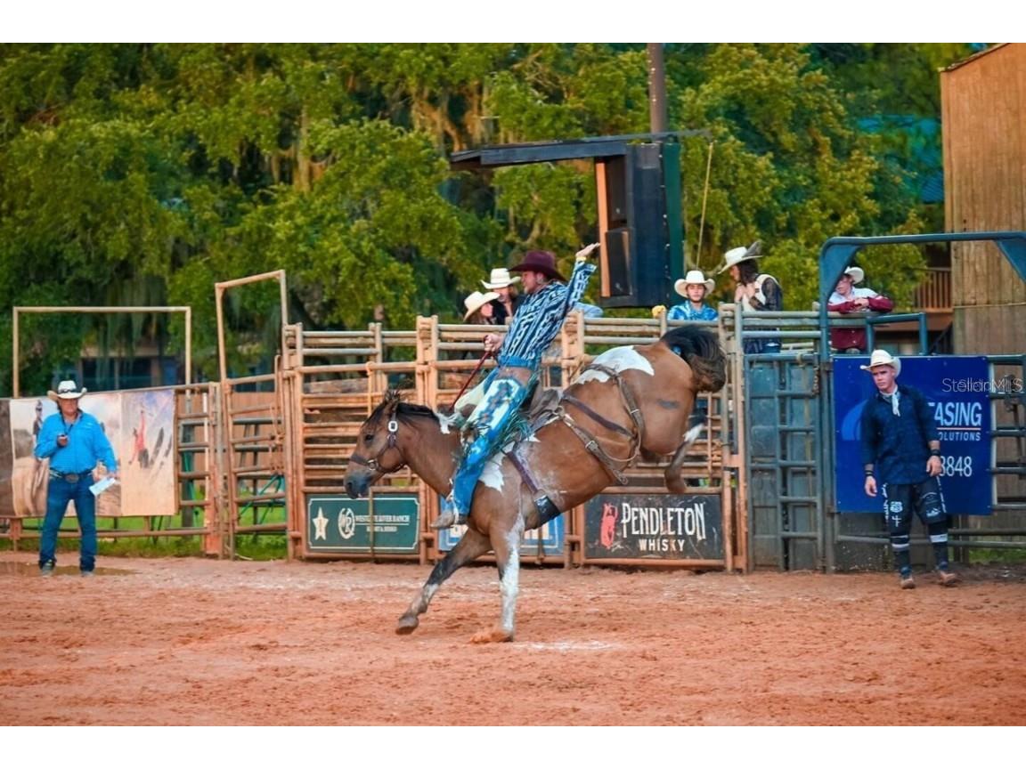 0 Riviera Drive #LOT 17 Lake Wales FL 33898 TB8358445 image33