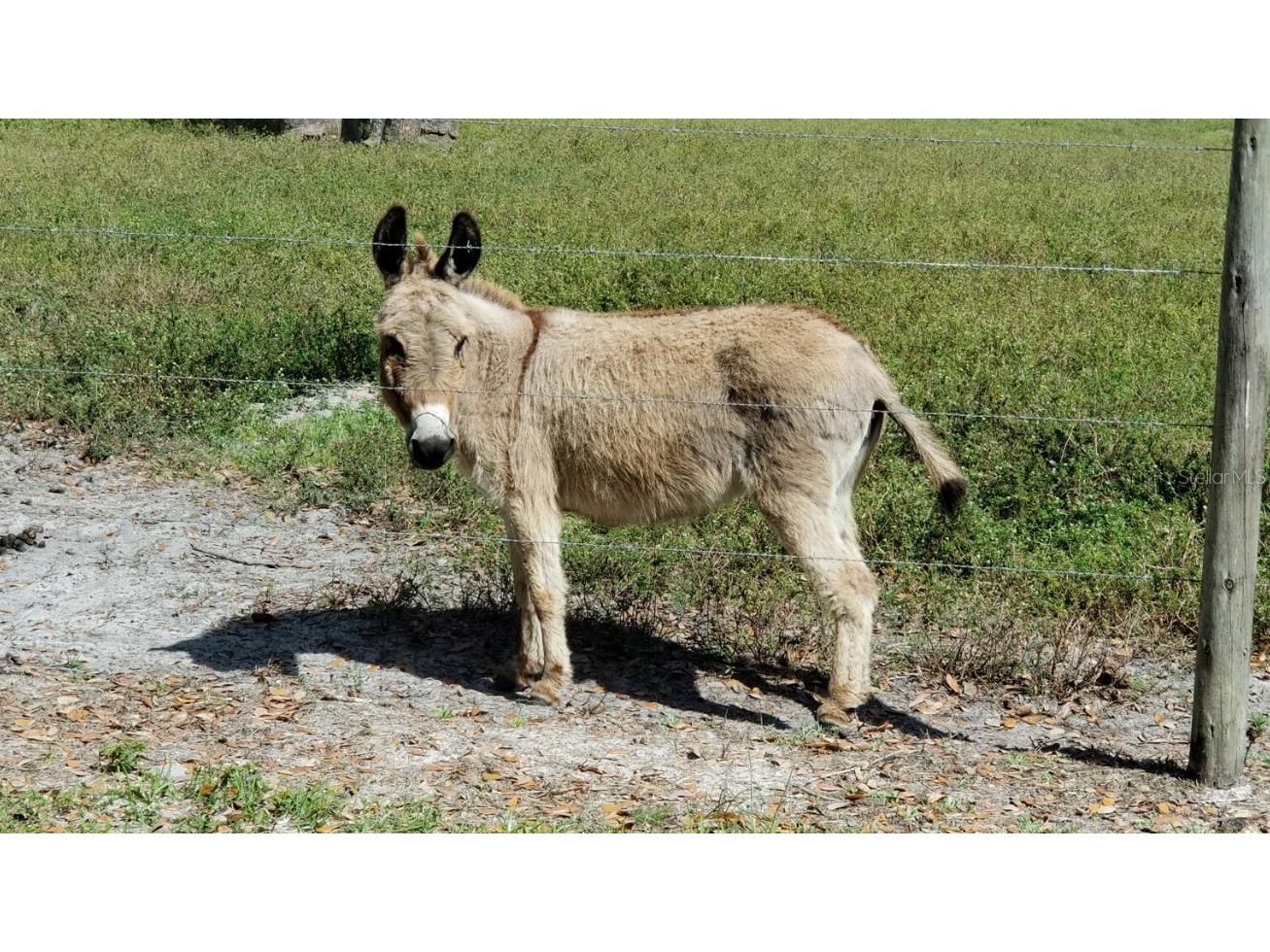 0 Riviera Drive #LOT 17 Lake Wales FL 33898 TB8358445 image35