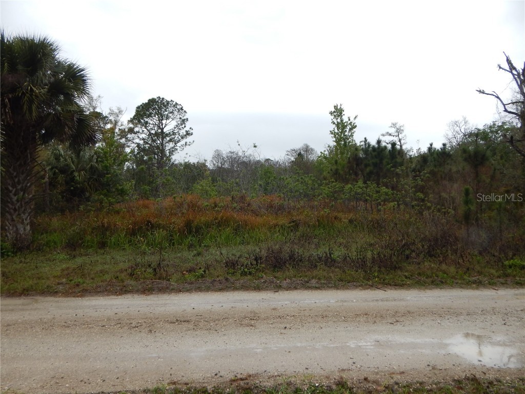 0 Robin Trail Kissimmee FL 34747 TB8357799 image1