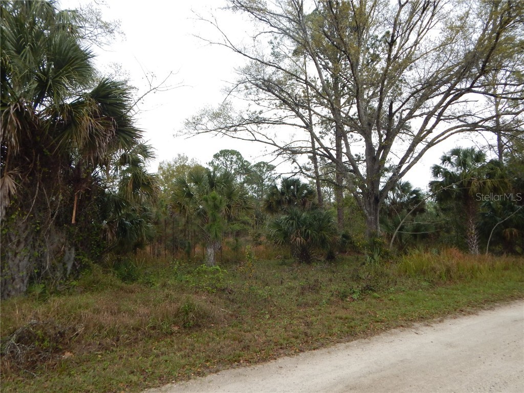 0 Robin Trail Kissimmee FL 34747 TB8357799 image2