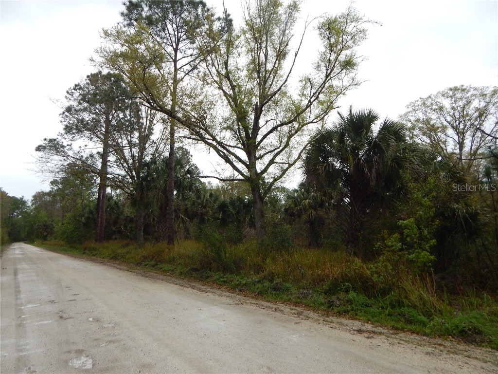 0 Robin Trail Kissimmee FL 34747 TB8357799 image3