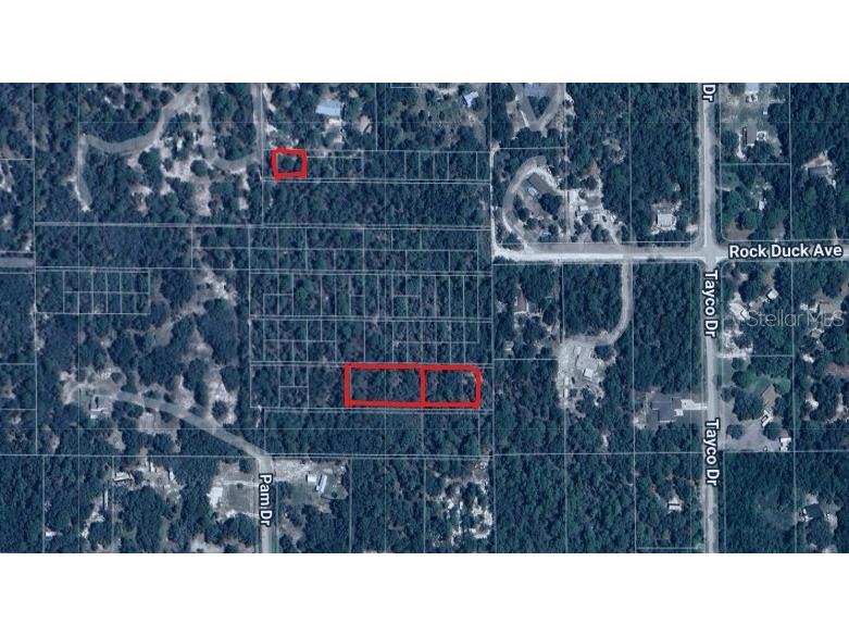 0 Rock Duck Avenue Weeki Wachee FL 34614 W7880980 image1